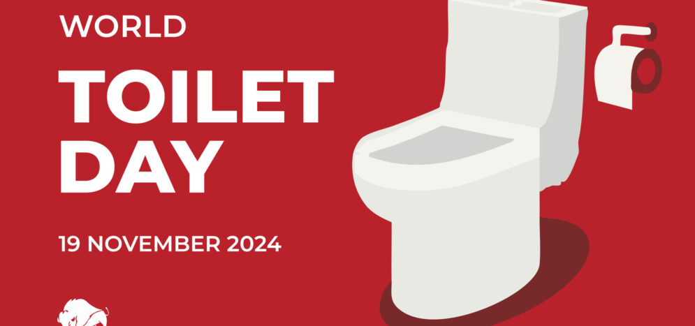 ToiletDay-scaled